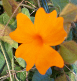 OmgYouCanCook's profile picture. I love to cook,and I know so many amazing recipes that I would love to teach you!  So come visit http://t.co/8gHxKeySia