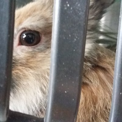 nedelinedeveli's profile picture. Herkes kendi kendine konuşur bazen.