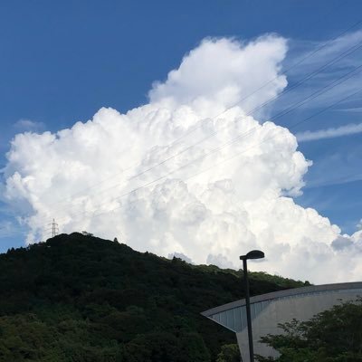 kirasena01's profile picture. 