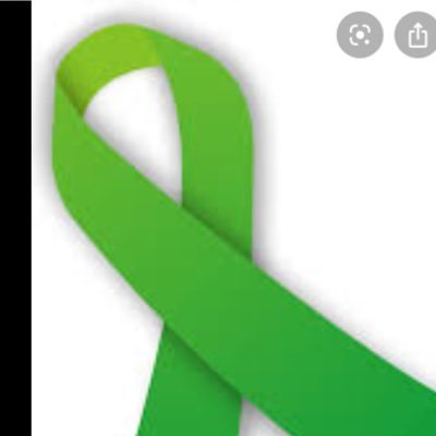 We are currently raising awareness for the Green ribbon cause, mainly the spinal cord injury.