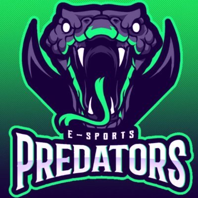 Predators E-Sports
Designer: Manel
Instagram: predators_e_sports_oficial
Discord: https://t.co/ta00igxAz7
Gmail: tester2005.conceicao@gmail.com