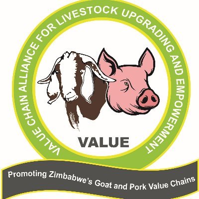 Improving production, organisational efficiencies and market competitiveness of small and medium scale-farmers in the goat and pork value chains in Zimbabwe