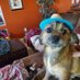 HuskergirlinAz (@ec761826b8b9404) Twitter profile photo HuskergirlinAz (@ec761826b8b9404) Twitter profile photo