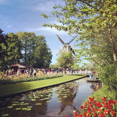 mihaelarc's profile picture. 