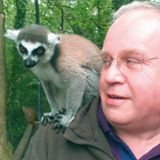 Retired database do-things-with-er, I now spend most of my waking hours staring at a screen, baffled and wondering 'why did it do that?' (Retired?) Not a lemur.