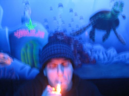 bigL_blazed's profile picture. Amateur crypto techno analyst... im a noob, nothing is financial advice!