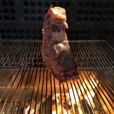 gutraub's profile picture. 