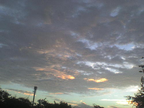 java_m's profile picture. 