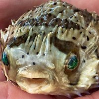 jennifer herbig (@jennylynn_h2o) 's Twitter Profile