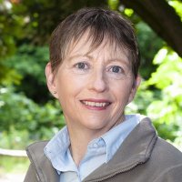Alison Marsden (@gardeninkent) 's Twitter Profile Photo Alison Marsden (@gardeninkent) 's Twitter Profile Photo