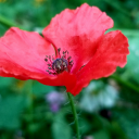 Catherine Price Moor - @CathPriceMoore - Twitter