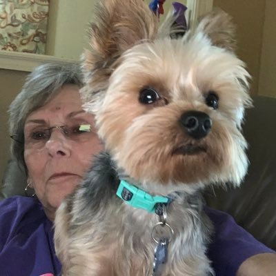 Older strong Trump supporter; married 100% disabled veteran of Vietnam Nam ; 2  cats & a tiny Yorkie & a rescued demon.  DM for political conversation only