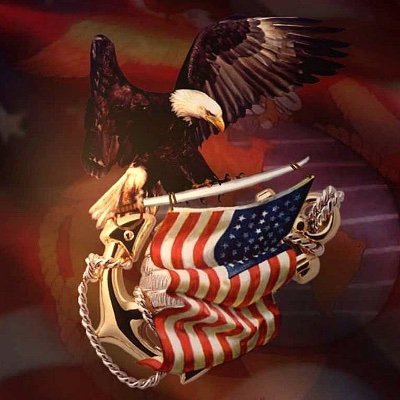 A military vet who will always believe in & protect the Constitution. Still believe in free speech, but question some of the nuts speaking!