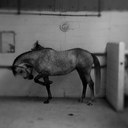 Anna Wilby - @bewitchedamw - Twitter