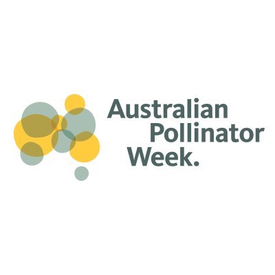 Australian Pollinator Week acknowledges our important and unique insect pollinators during our southern spring.