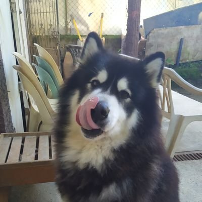 Misright13's profile picture. loves books and reads them