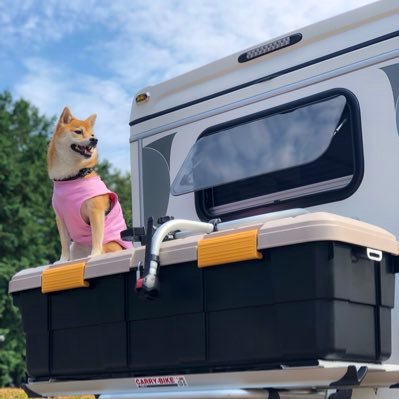 hideaki0730's profile picture. 物流業界の人。軽貨物~超重量物まで対応可能。お仕事依頼はDMまで。見積作成だけでも可能。#配車マン #営業 #運転手 #音楽 #ギター #ソロギター #工場夜景 #柴犬 #神社仏閣 #ウイスキー #DIY #船 #特殊車両 好き。誤字脱字多め。