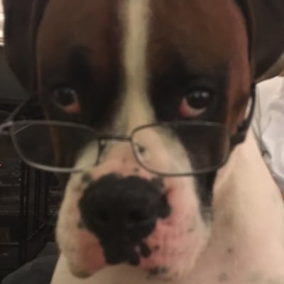 mikahpheyaps's profile picture. Pretty flermsy