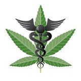 MViewCollective's profile picture. 