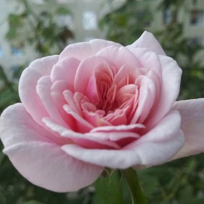 BMWFreeman's profile picture. 