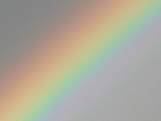 tamasine1976's profile picture. 