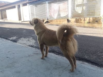 DavidMo62879711's profile picture. D2