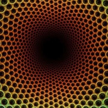 nick8ch's profile picture. 0