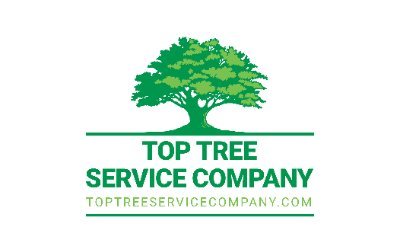 We are a complete and total tree service company. Tree removal, tree trimming, stump grinding, pruning... We do it all.