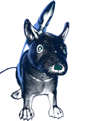 prowlarius's profile picture. Misguided artist