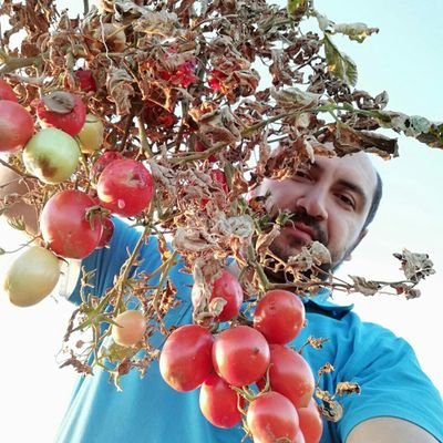 Hasanhy66's profile picture. 