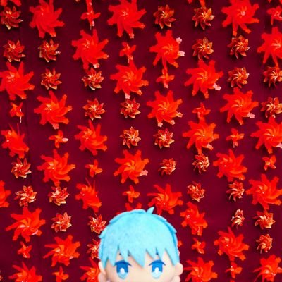 躑躅 Doroumai Twitter 躑躅 Doroumai Twitter