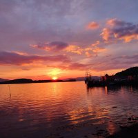 Ann Lumley π (@lumleyann) 's Twitter Profile