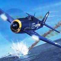 Falcon 2 Hellcat (@falcon_hellcat) 's Twitter Profile