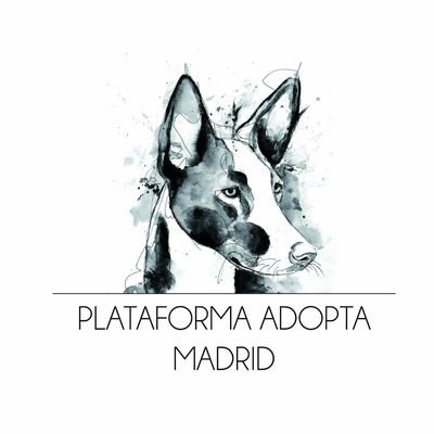 Rescate y rehabilitación de animales abandonados en Madrid | Nuestros contactos: ADOPCIONES ✉️ adopta.pam@gmail.com | ACOGIDAS 💌 acogidasadoptamadrid@gmail.com
