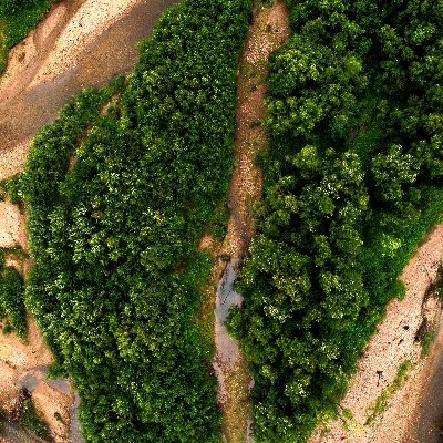 Forum of Polish Association of Young Geomorphologists. Keep up to date with latest news and events for young scientists interested in #geomorphology! #ECR