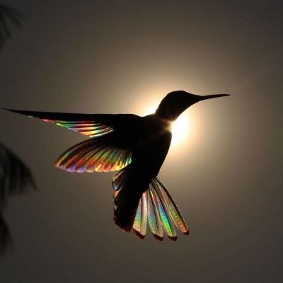 Tres0ry's profile picture. ∞ I need animals, nature, music to feel grounded, #starseed #angelseed #lyrian #pleiadian #empath #ursa_major ∞