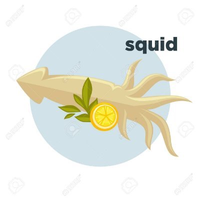 Not a squid nor a lemon.