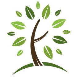 6pbwoodlands's profile picture. Class Twitter page for 6PB Woodlands. Follow us for exciting pictures of our learning adventures and incredible endeavors!