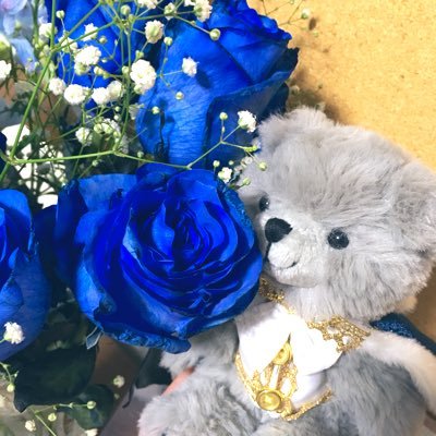 come_dog's profile picture. 地雷なしの雑食、成人済みの社会人。最近はとうらぶ沼に沈んでます。だいぶゆるゆると監督生も兼任中。ポタ沼とテニス沼からは生涯上がれないと確信している…