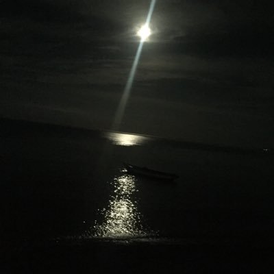 nats1018's profile picture. 