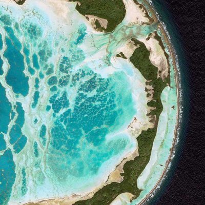 nothing3pecial's profile picture. Nothing Special