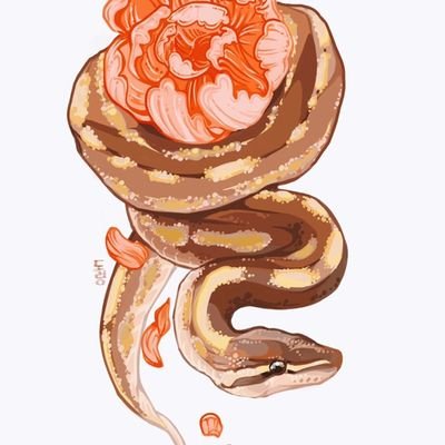 🐍🦎🦎🐈⬛🐈🐶⚠️쥐사진, 피딩사진 및 영상이 간혹 올라옵니다⚠️
인장은 도령님 선물
#파충류계 #동물계
