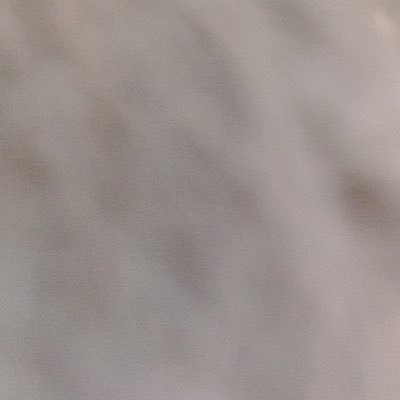 FinkXxx's profile picture. 