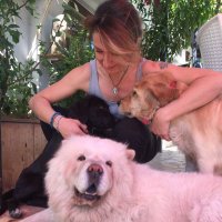 zeynepaksoy (@zeynepaksoy72) 's Twitter Profile Photo