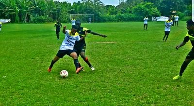 MaradonaDeFran1's profile picture. I'm a cool guy and i like football