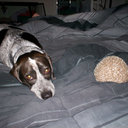 Annie Horn - @yesimokannie - Twitter