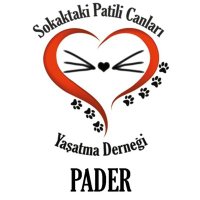 PADER (@patilicanlar) Twitter profile photo