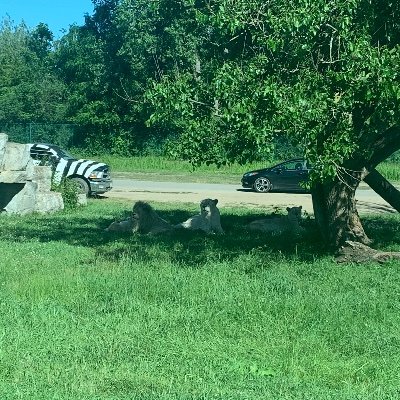 nj_bentley's profile picture. 