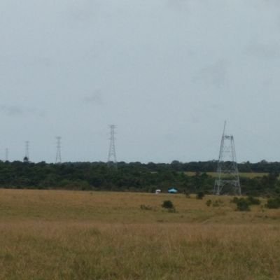 Jorgeeliesercar's profile picture. 