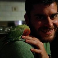 Matteo Sepulcri (@mat_sepu) Twitter profile photo